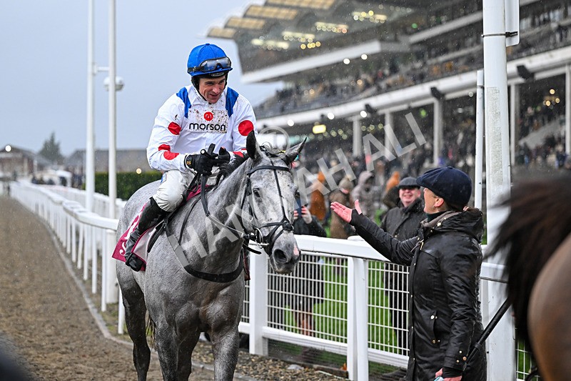 141125-Race 4-LEau du Sud-0492 - Race 4