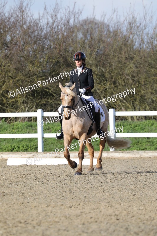 20260314-5789 - DR 7 - Elementary 1