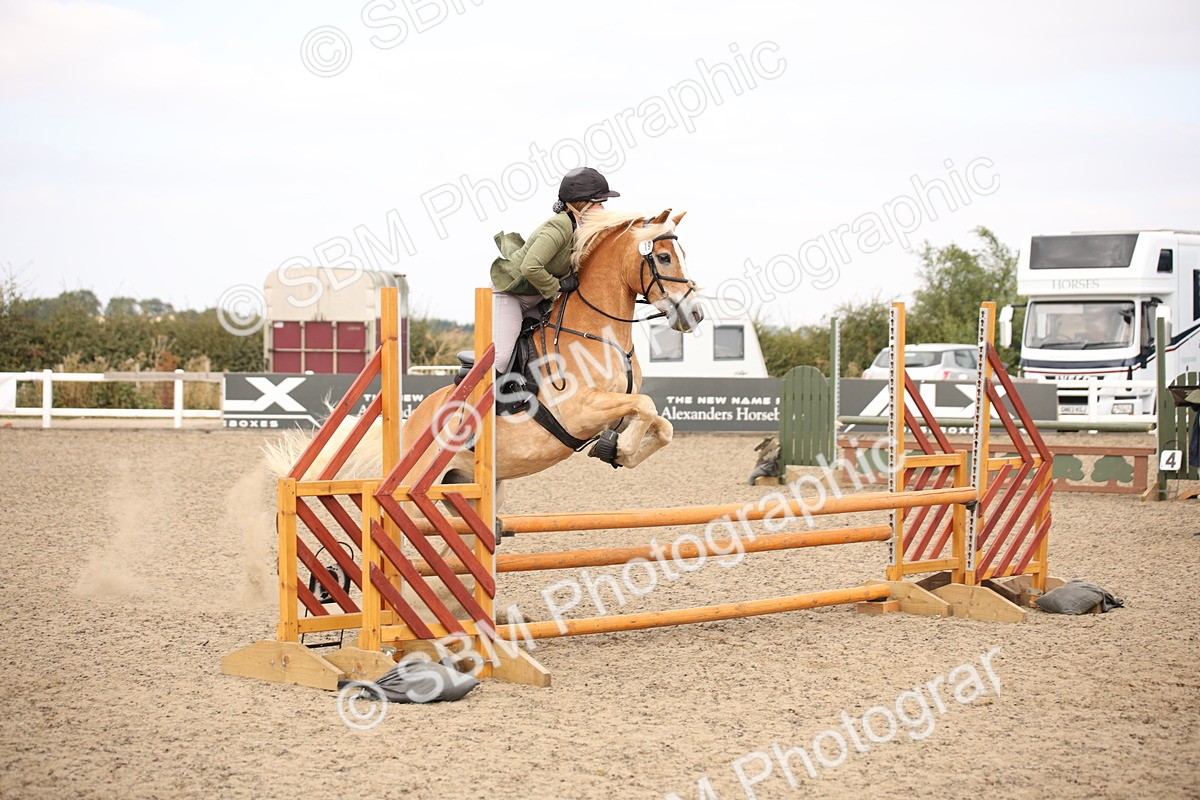 SBM_16174 - Class 409a - Working Veteran 80cm (15-19)