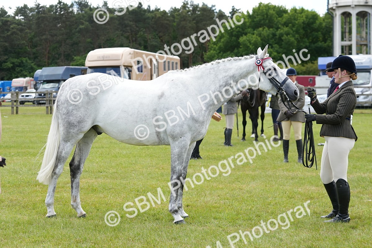 SBM_16216 - Class 105-106 - RIHS Riding Horses