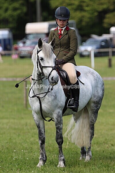 IMG_3460 - Working Hunter