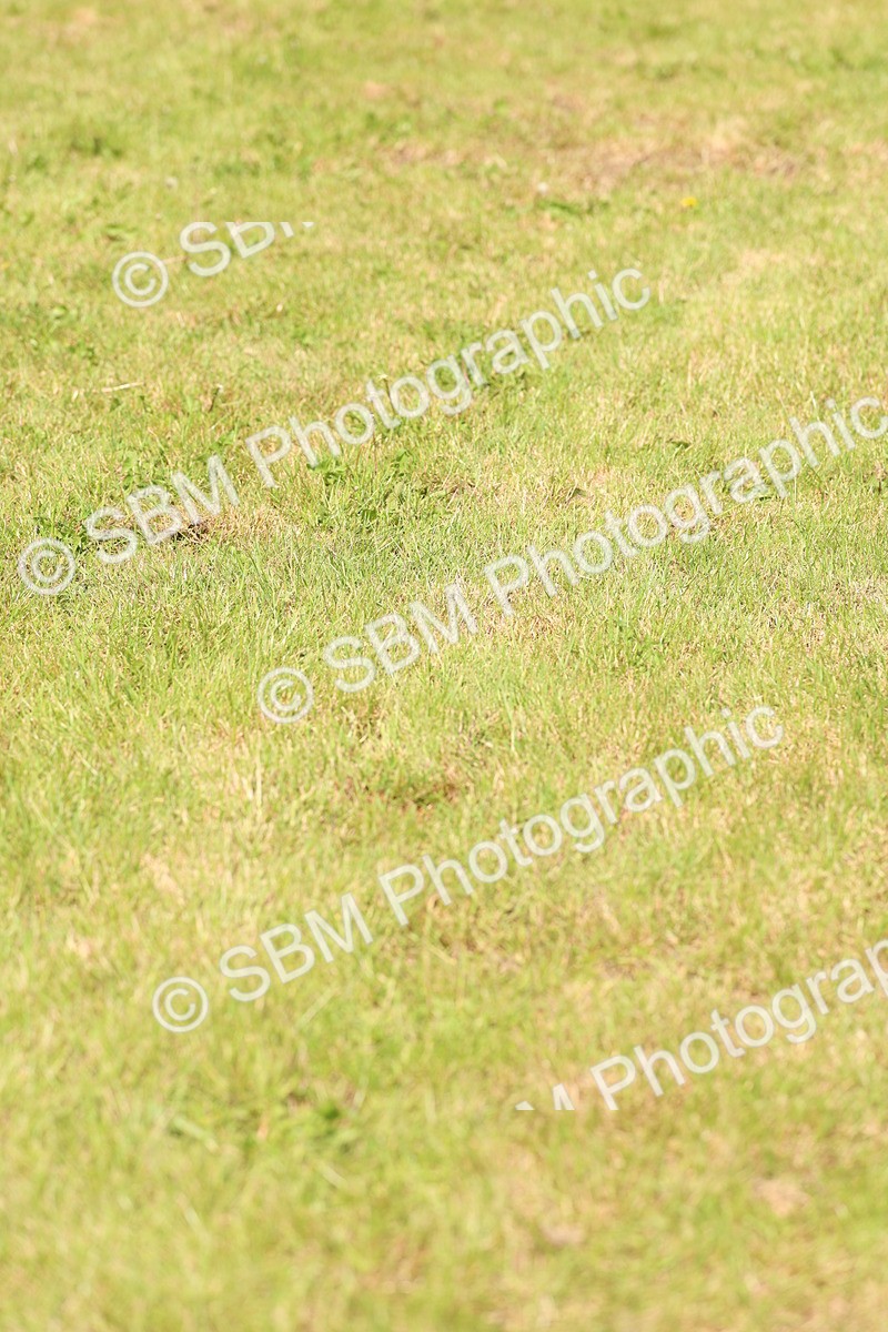 SBM_13825 - Class 206 - Senior Newcomers - 1.10m Open