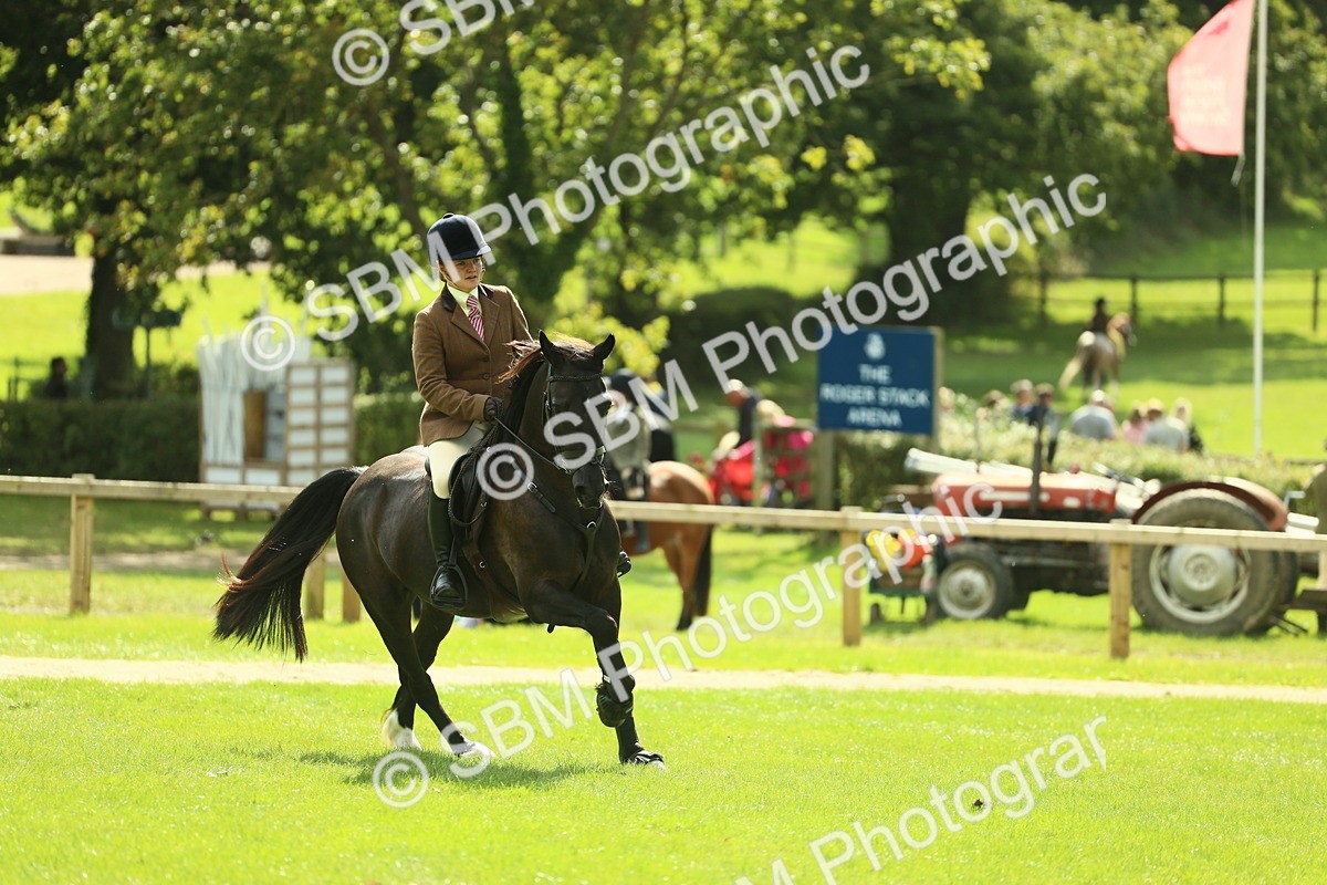 SBM_42868 - S30 - M&M Working hunter Pony