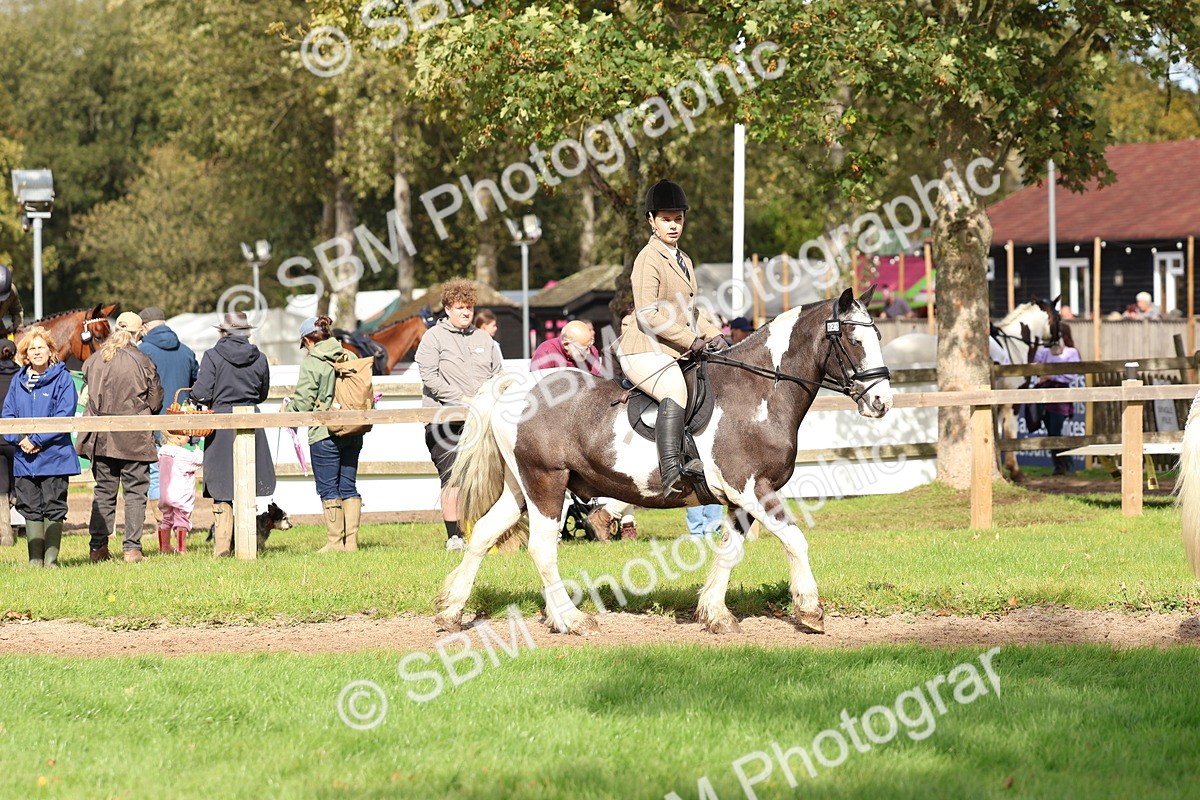 SBM_47592 - S28 - Veteran Ridden