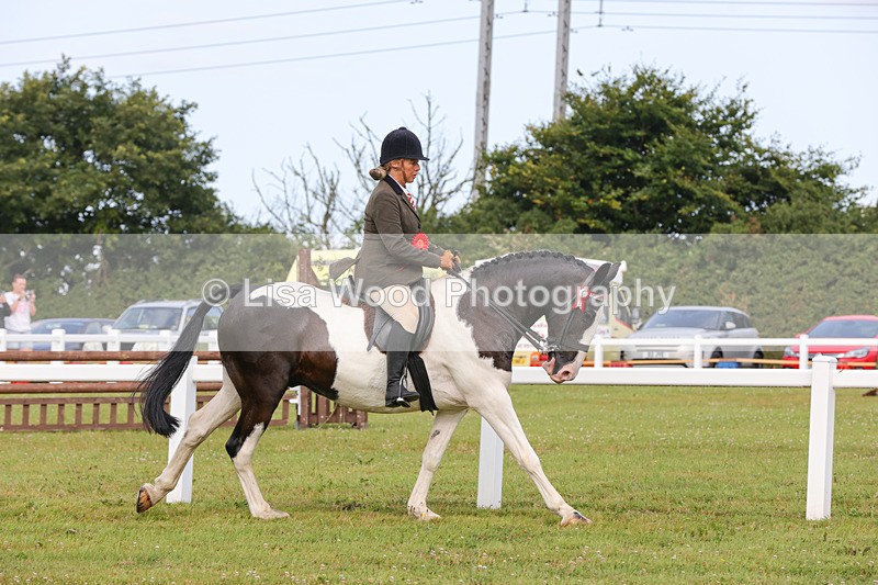 1X9A3090 - Class 26: Ridden Plaited Coloured Pony