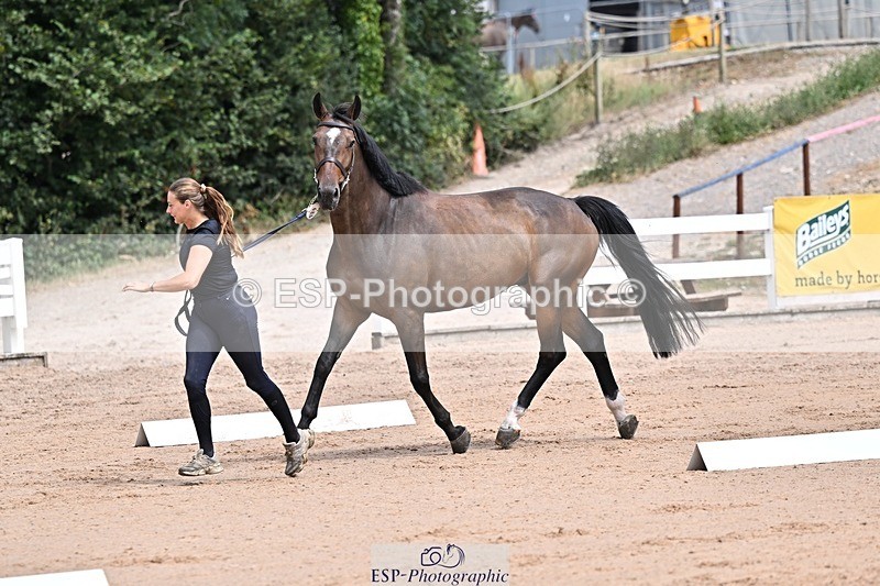 250716-125834-00256 - Trot Up 12.30 to 1.30