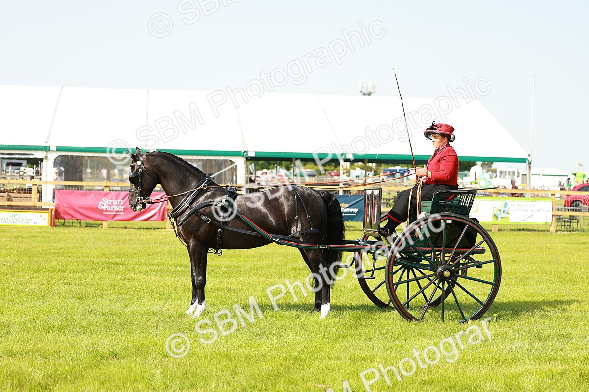 SBM_01225 - Class 2-4 - HOYS Private Driving