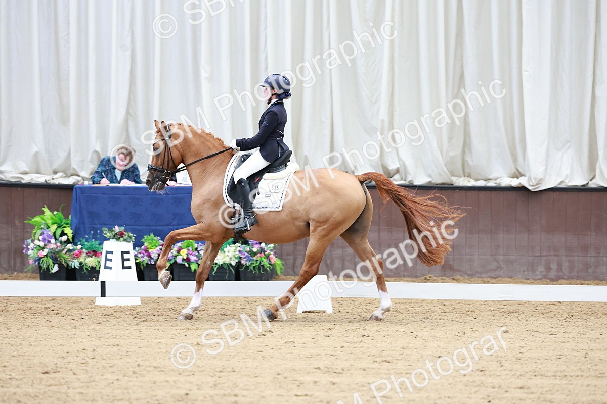 SBM_017087 - Class15 - FEI Pony