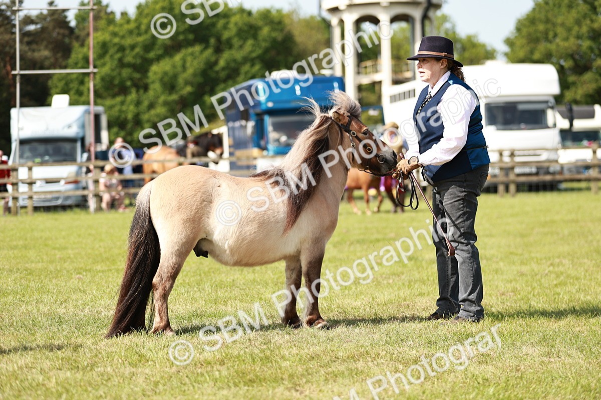 SBM_01775 - Class 14-23 - Mountain & Moorland In Hand Non Welsh