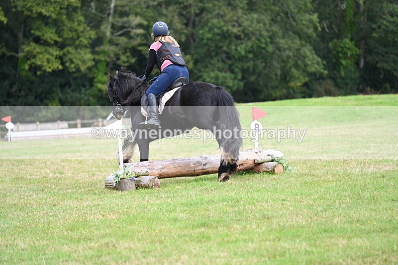 WJ7_7906 - 40cm Time 10:49 to 11:18