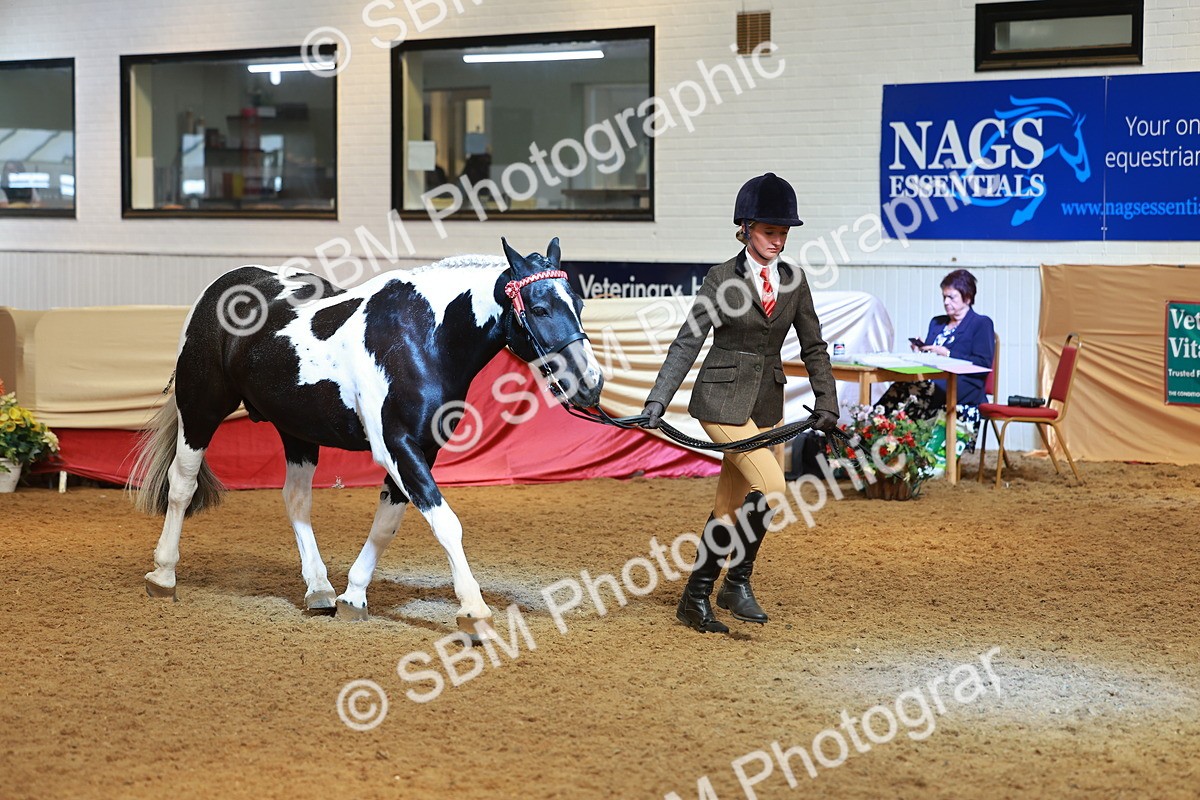 SBM_10721 - Class 103 - HOYS Veteran Qualifier - Ridden Pre Vet