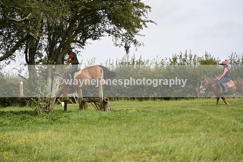 WJ6_8439 - Time 12:18 to 12:59