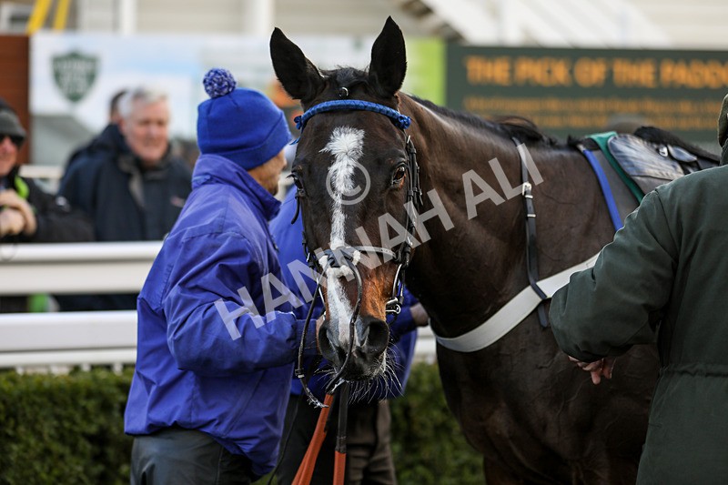 281223-Race 3-Guillaume-3350 - Race 3