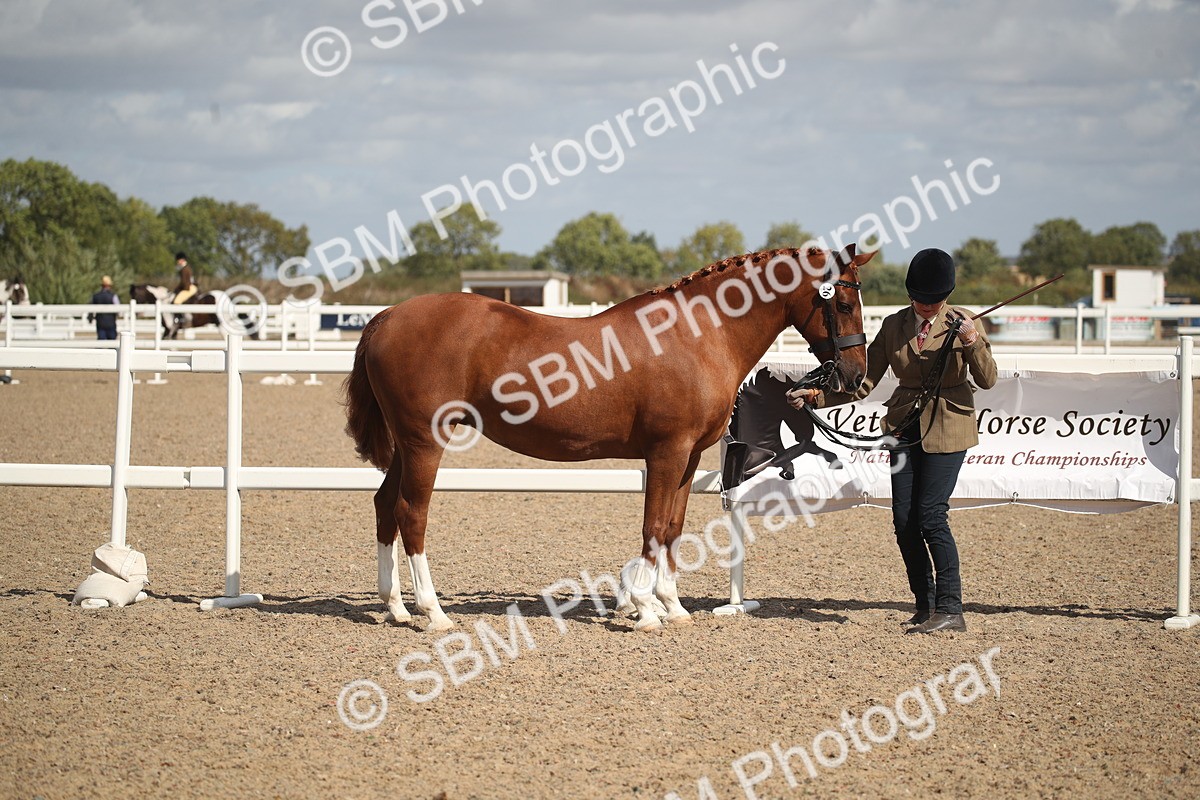 SBM_23414 - Class 604 - 2026 - Area IH Diamond