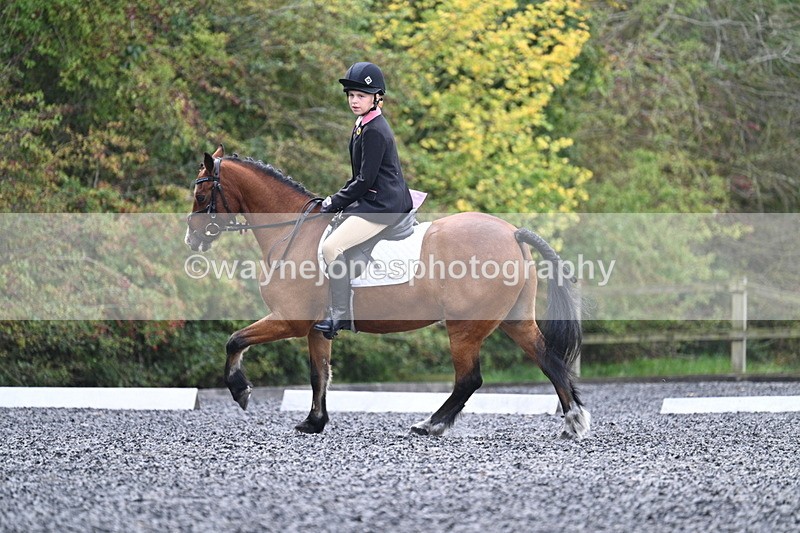 WJ7_3995 - Time 11:04 to 11:38