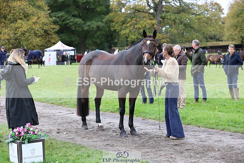 251026A-105044-23315 - G-524-Emma.Ergatoudis