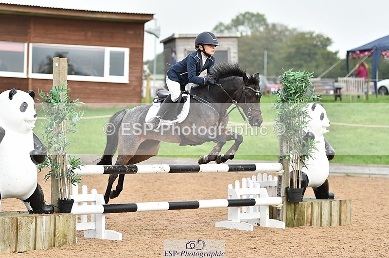 230902A-111902-00663 - Cls 2B Pony Small 80cm