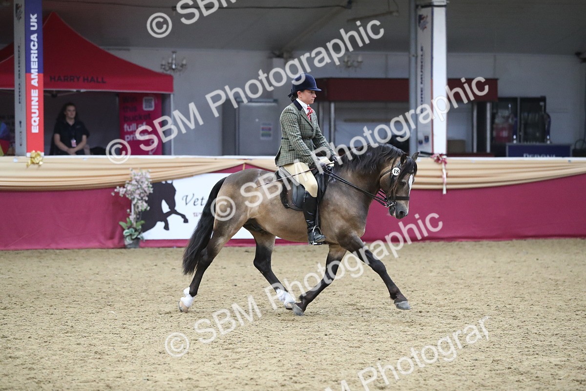 SBM_16432 - Class 502 M&M Ridden Supreme Final