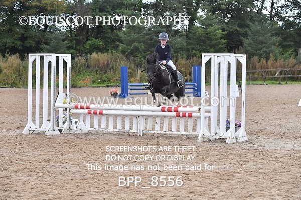 BPP_8556 - CLASS 4 Stepping Stones 128/ 138cms Handicap