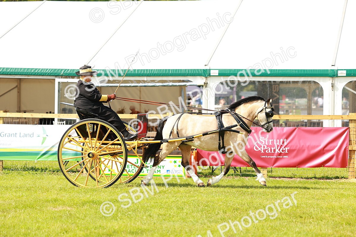 SBM_02568 - Class 2-4 - HOYS Private Driving
