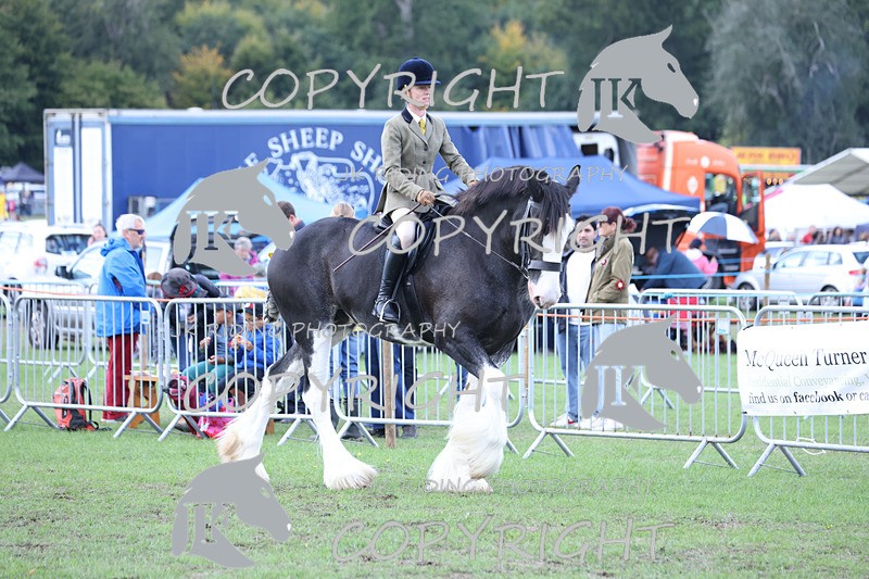 APP_3622 - Class 8 Ridden Class