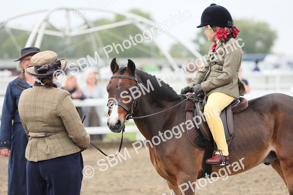 SBM_21833 - Class 806 - Young ridder 10 Yr & Under