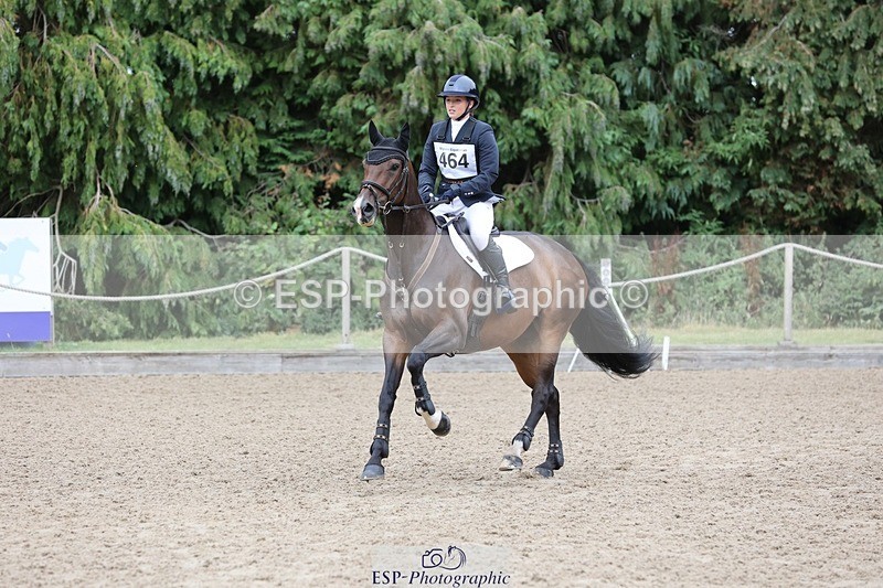 250803A-103940-10474 - K-464-Tamsin.Howard-HALAVELI