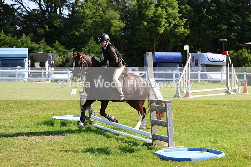 3E7A5934 - Class 27: Novice Working Hunter Pony