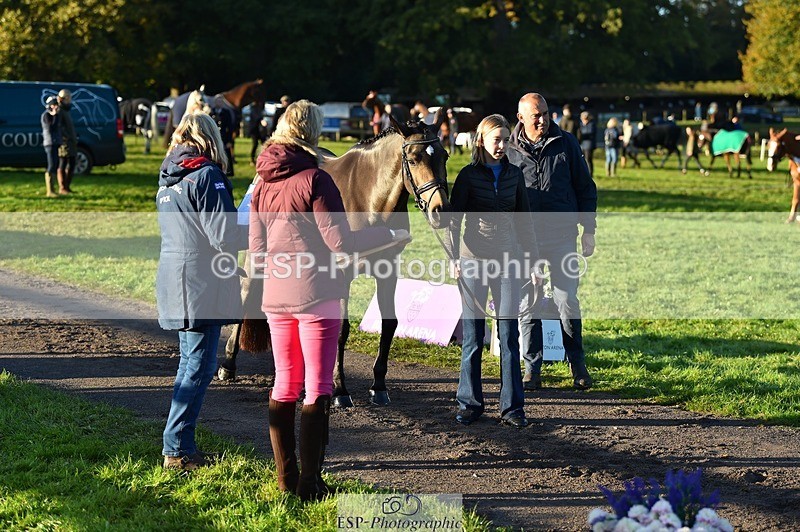 231022-090126-21511 - 629-DP.UK.DUN.SURPRISE-Isla.Kitson-TrotUp+SJ