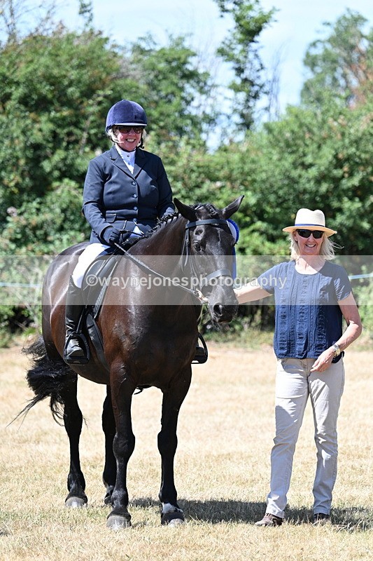 WJ7_3178 - Class 7 Riding Club Show Horse