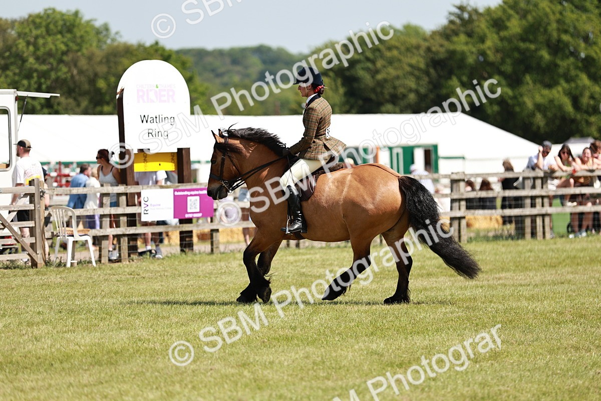 SBM_07104 - Class 26-30 - Mountain and Moorland Ridden
