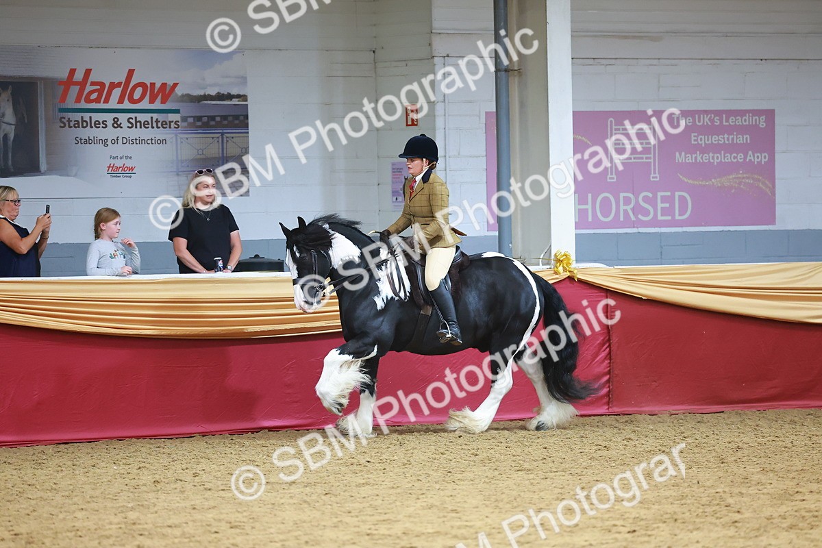 SBM_06280 - Class 12R - Ridden Pre-Vet