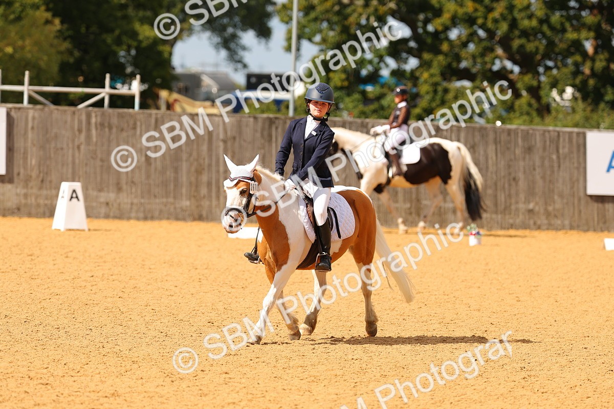 SBM_44111 - D22 - Junior Championship - Intro B