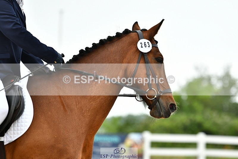 230708A-112609-02567 - Prelim 13