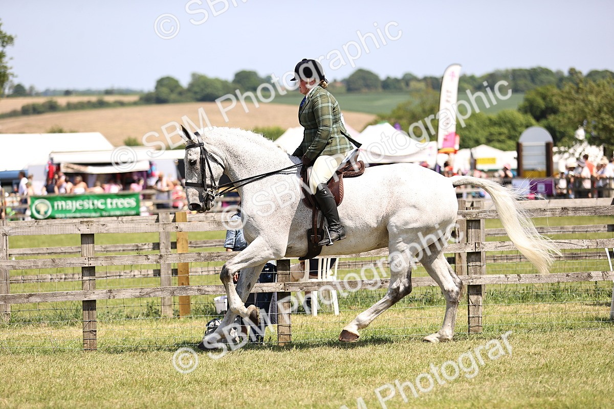 SBM_16115 - Class 79-80 - LIHS BSHA Rising Star Ridden Hunter