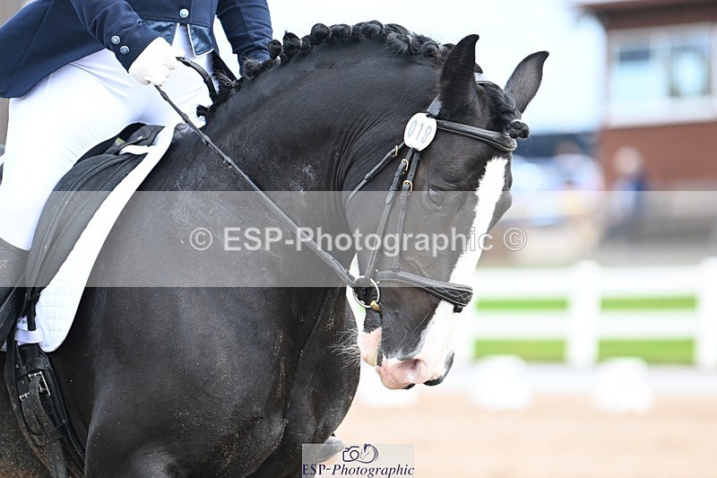 250907-113014-07232 - 018-Kathy.WhiteMilly.111