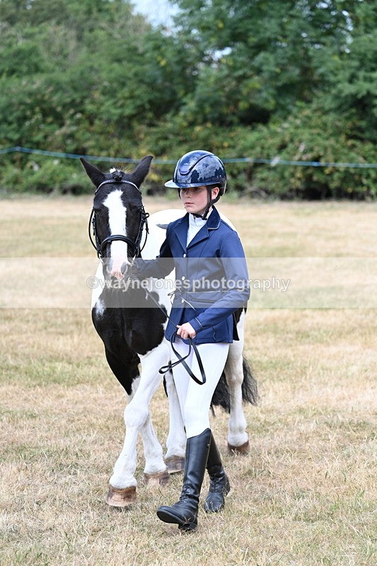 WJ7_1689 - Class 4 Prettiest Mare up to 14.2hh in hand