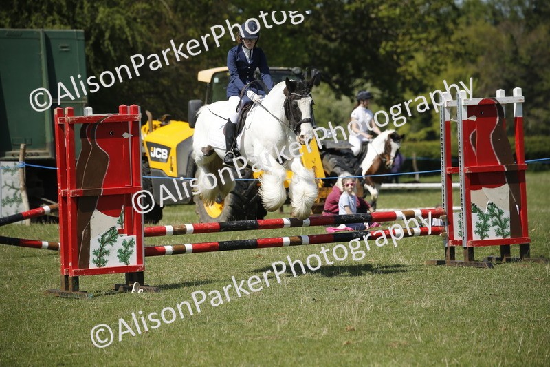 20250427-2357 - Class 13 - Novice Jumping 60cm