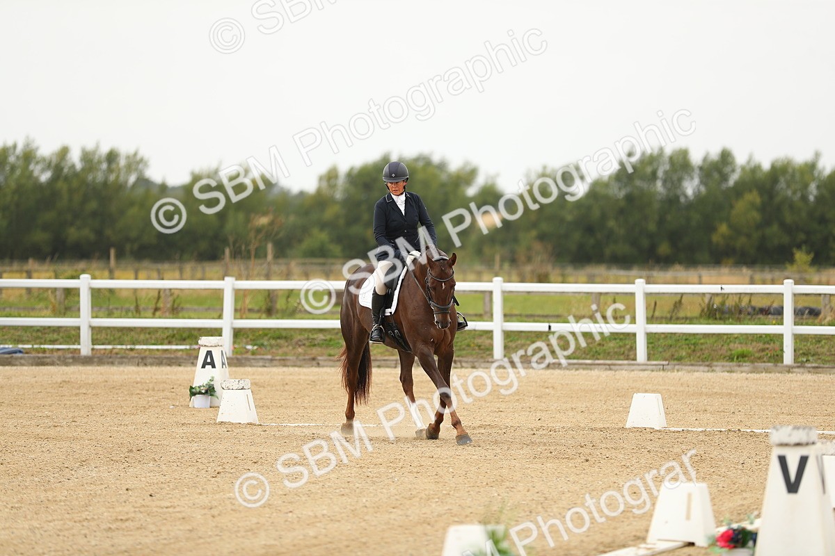 SBM_017226 - Class 13 - Novice 23 - 13.31-14.13