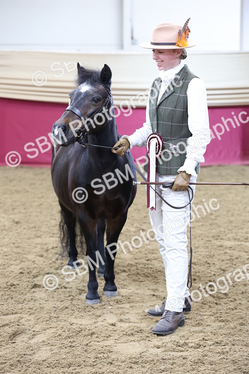 SBM_21909 - Class 901 - Supreme Final - IH  Diamond