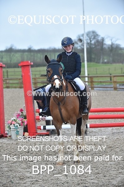 BPP_1084 - CLASS 1 Club/ Unaffiliated 60cms Open