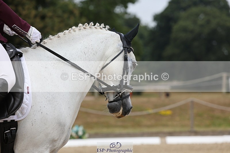 250718A-105330-00724 - 009-Jenna.Glynn-Beenleighford.Riverlark