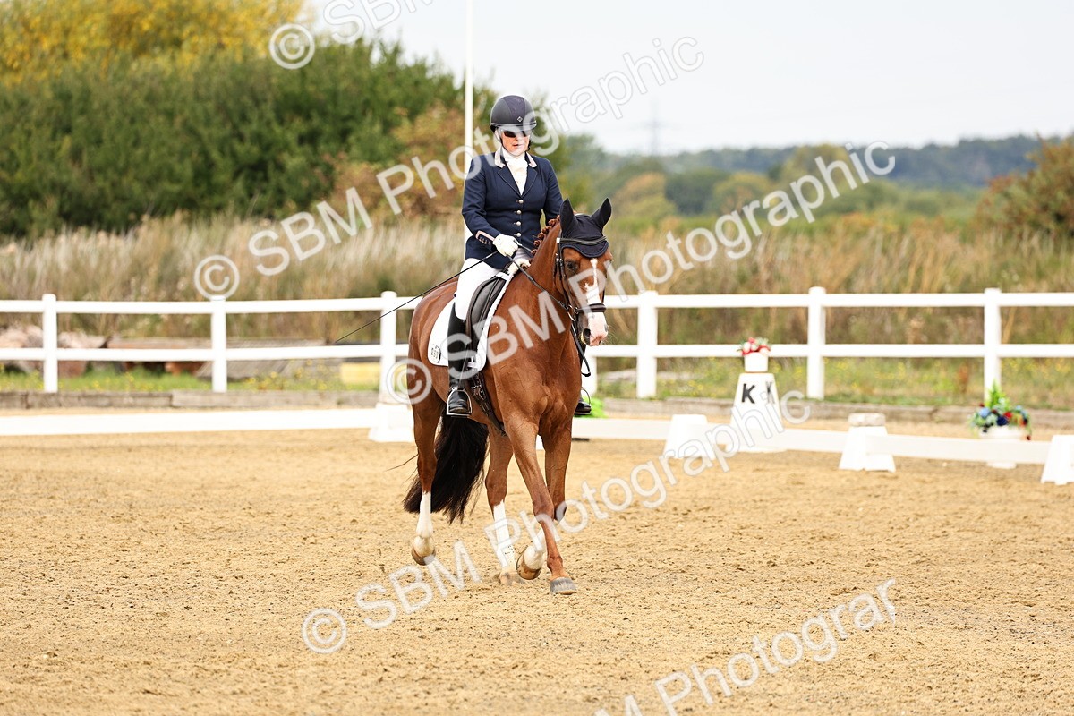 SBM_012310 - Class 2 - Prelim 5