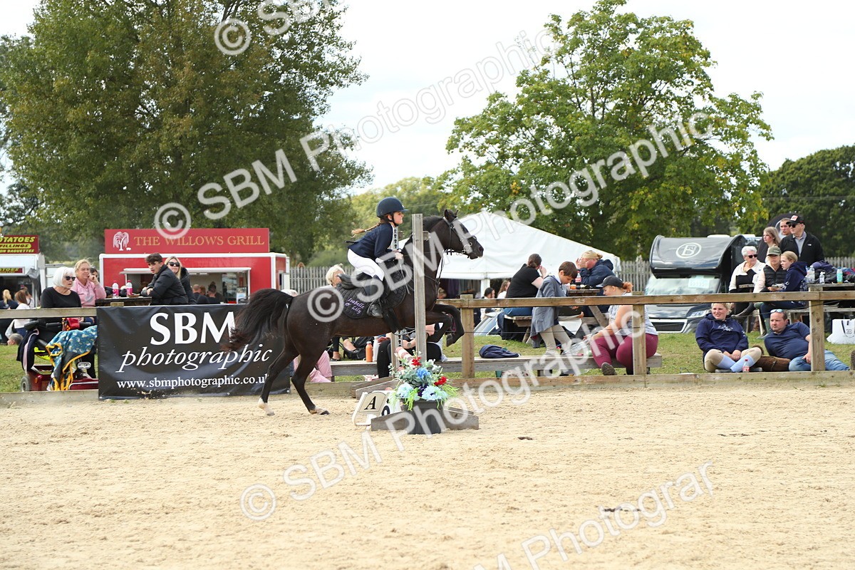 SBM_41406 - J6 - Junior Pony 55cm Championships