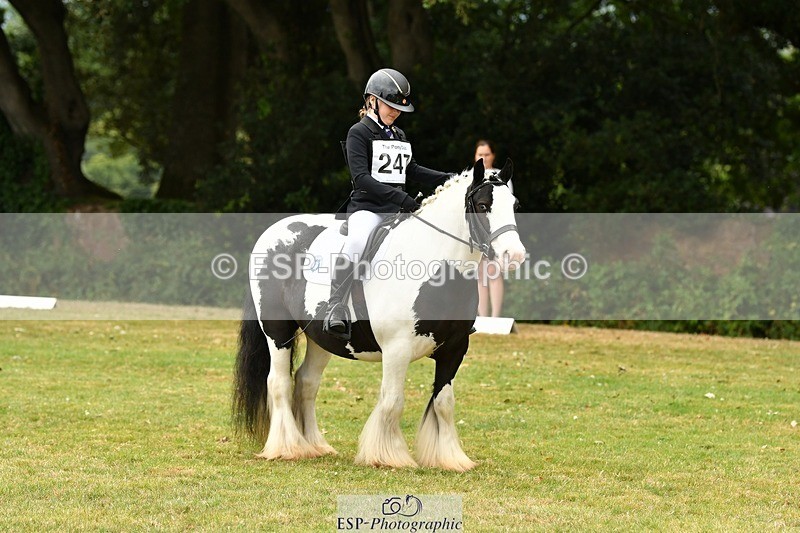 250820A-122850-05610 - 12 to 13.00