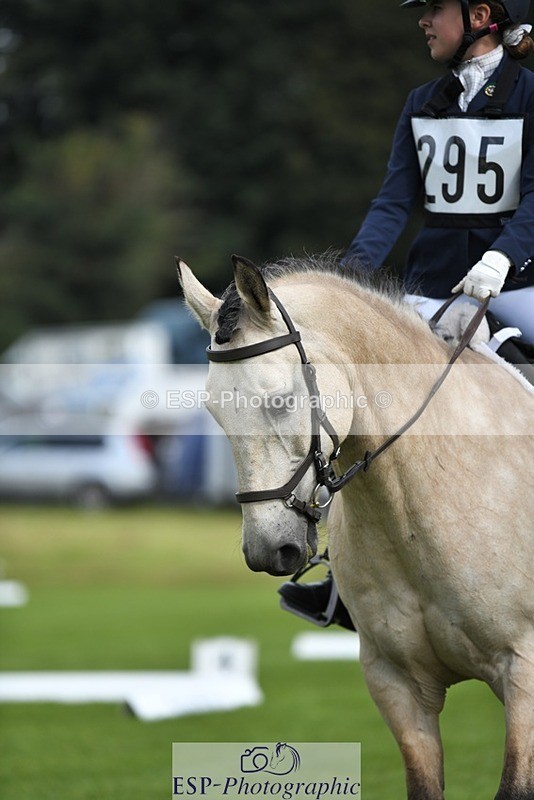 230826-111227-15764 - Sections C & D 10 to End