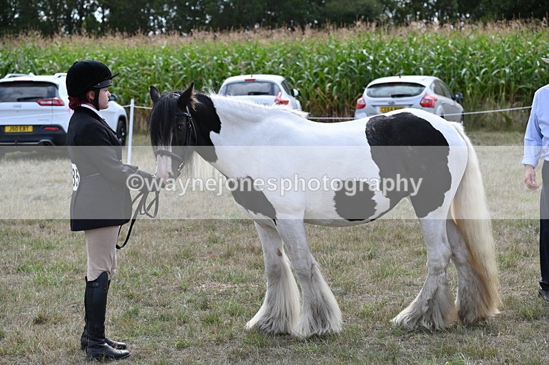 WJ6_6646 - Class 20 In-hand Cob