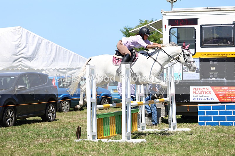 3E7A5666 - Class 9: Senior British Novice/90cm open