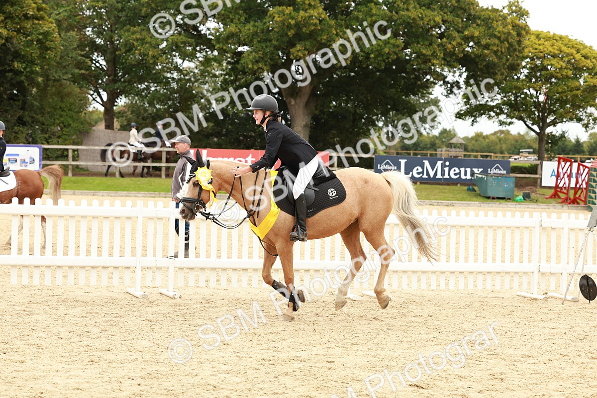 SBM_63931 - J12 - Junior Pony 55cm Championship