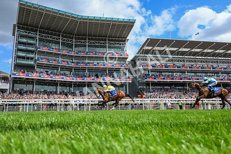 220826-Race 2-Infraad-5633 - Race 2 14.25pm Sky Bet Melrose Handicap